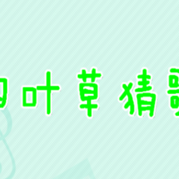 四叶草猜歌app 四叶草猜歌app