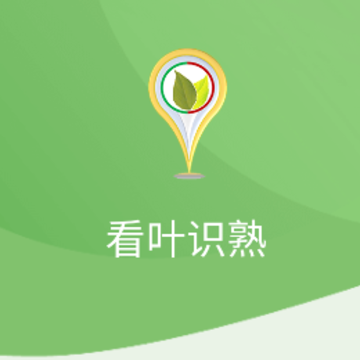 ��Ҷʶ��app