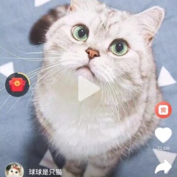 ���Ű�