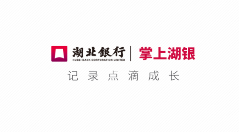 掌上湖银App 掌上湖银App