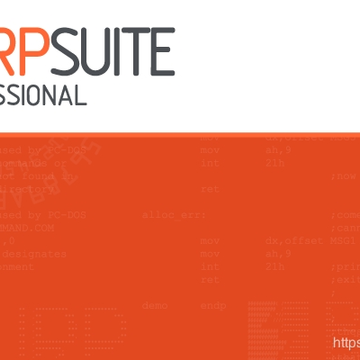 burpsuite pro�����ƽ��