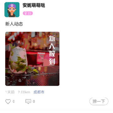 ����-�����罻