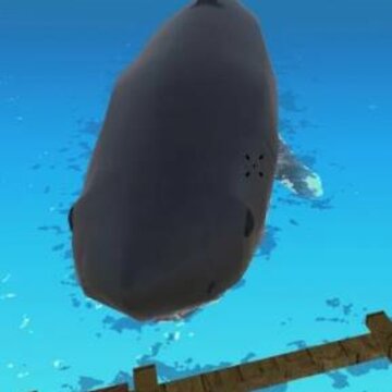 真实海上木筏求生 真实海上木筏求生