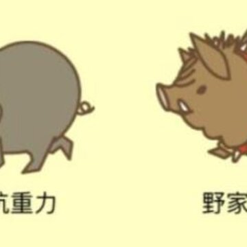 养猪场3D破解版 养猪场3D破解版