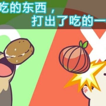 喂养小狗 喂养小狗