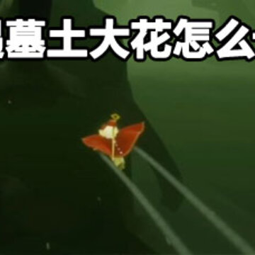光遇墓土大花怎么卡 光遇墓土大花怎么弄掉 光遇墓土大花怎么卡 光遇墓土大花怎么弄掉