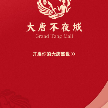 大唐不夜城文化商业步行街 大唐不夜城文化商业步行街