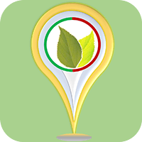��Ҷʶ��appv4.2 ���°�