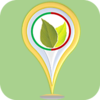 ��Ҷʶ��appv4.2 ���°�