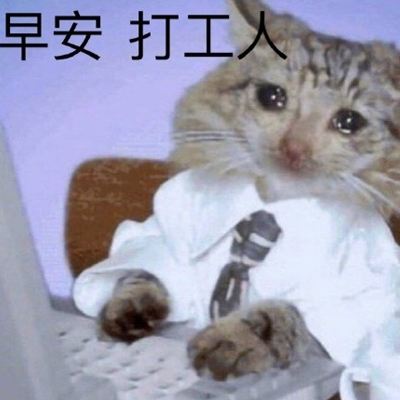 ΢���簲���˱���� ���˱�����ϼ�����ʹ�ҿ���