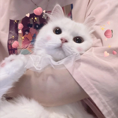 �߹����ʺÿ�������ǩ�� ��������һ�����������
