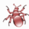 CrawlWorm Picture(ͼƬ��ȡ����)v1.0 ��Ѱ�