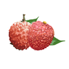 ���ǲ���appv1.1.1 ���°�