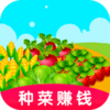 幸运农场种菜赚钱v1.0.0 安卓版