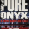 PureOnyx�����ĺ�����ⰲװӲ�̰�