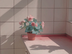 �ټ�����ʮ��˵˵ ʮһ������簲˵˵