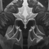 ����֮���õ۹�v1.2 ��׿��