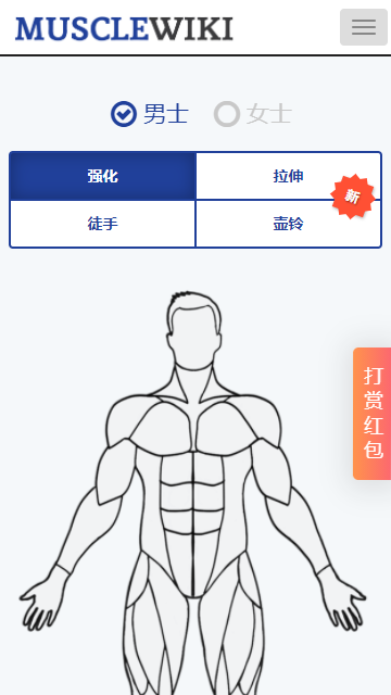MuscleWiki�ֻ���v1.0.4 ���İ�