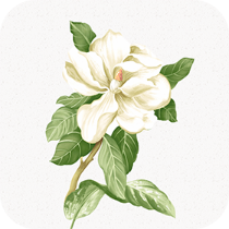 ����תappv1.0.1 ����