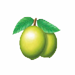 ��÷��Ѷappv1.5.1 ���°�