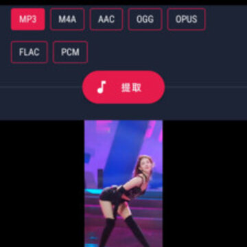 ��Ƶ��ȡת����