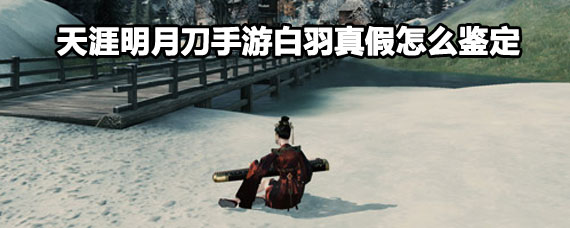 天涯明月刀手游白羽真假鉴定方法 天涯明月刀手游白羽真假鉴定攻略 天涯明月刀手游白羽真假鉴定方法 天涯明月刀手游白羽真假鉴定攻略
