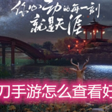 �������µ�������ô�鿴���ѷ����� �鿴���ѷ������������