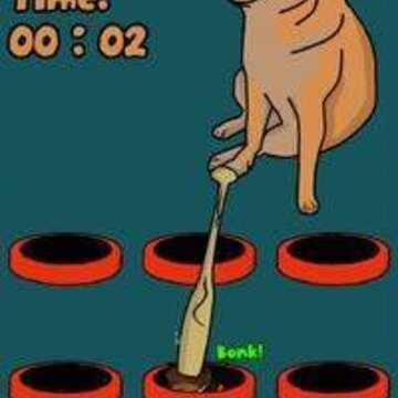 ���ӵ���Ȥ