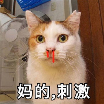0066wpcPgy1gi1toefu12j30j60j6taf.jpg