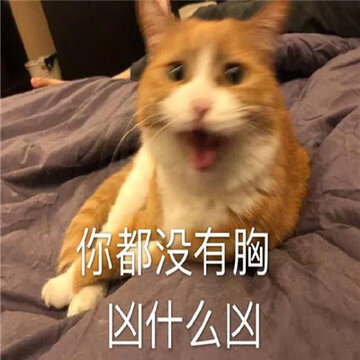 0066wpcPgy1gi1tog7ih4j30j60eeq4o.jpg