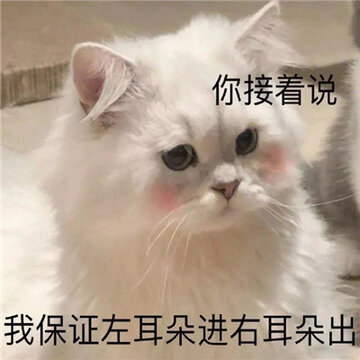 0066wpcPgy1gi1toh65rrj30j60i1jte.jpg