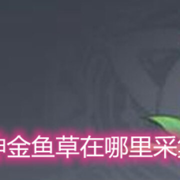 原神金鱼草在哪里采集 金鱼草采集地点和路线一览 原神金鱼草在哪里采集 金鱼草采集地点和路线一览