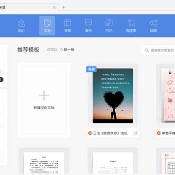 WPS2020רҵ���ƽ��