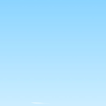 �ҵ�������ʦ
