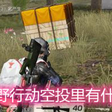 ��Ұ�ж���Ͷ����ʲô ��Ͷ�������