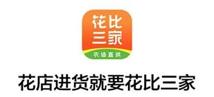 ��������app