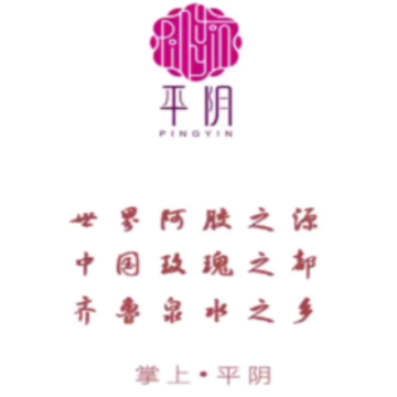 ����ƽ��app