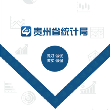 ����ͳ�Ʒ���2020�����ʾ�����