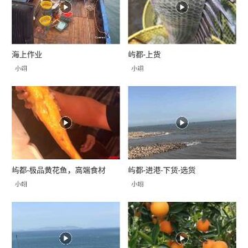 �춼���app