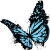 TVPaint Animation 11��Ѱ�