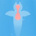 ����ʹ����v1.0 ���°�