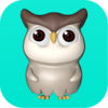 ӳ��VRֱ��appv1.0.6 ���°�