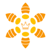�����ܷ�ר�Ұ�appv2.0.25 ���°�