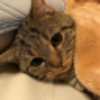 ޶��ëƽ̨v1.11 ���°�