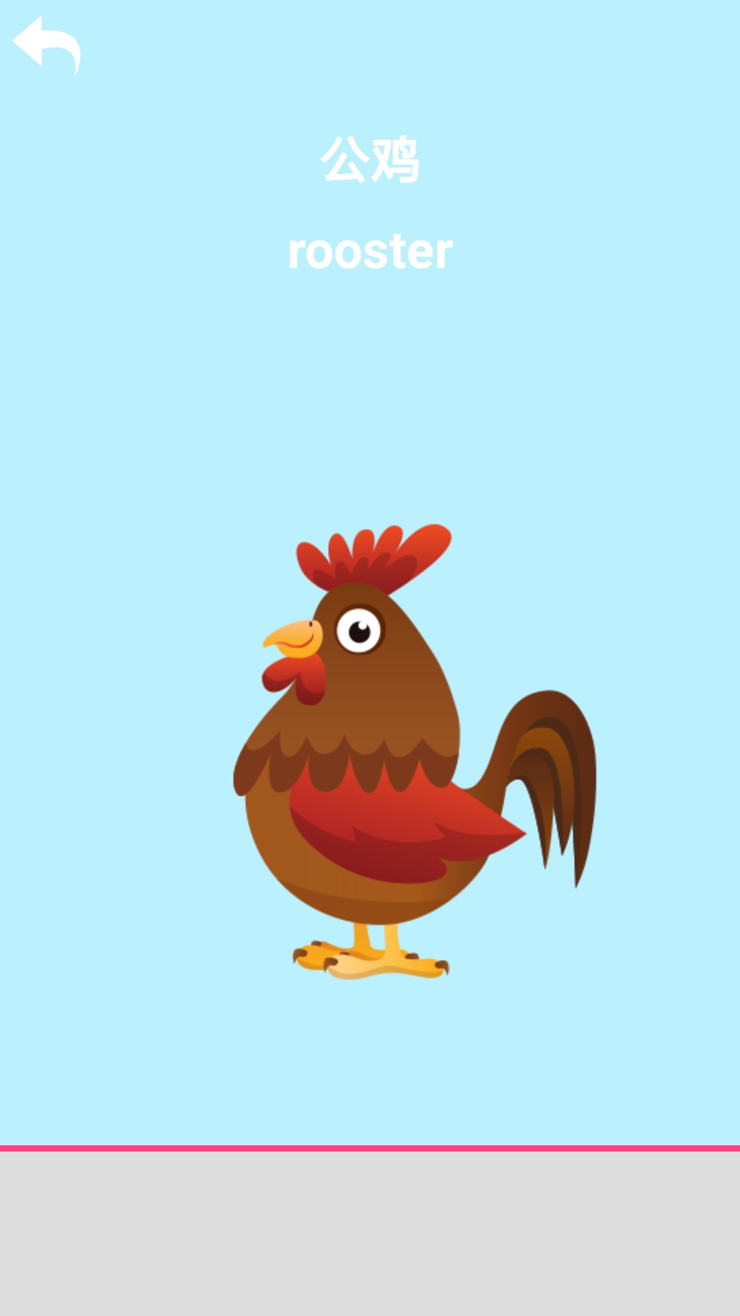 ����Ӣ��appv1.6 ���°�
