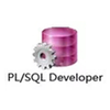 plsql developer14�����ƽ��v14.0.2.1969 ��ɫ��