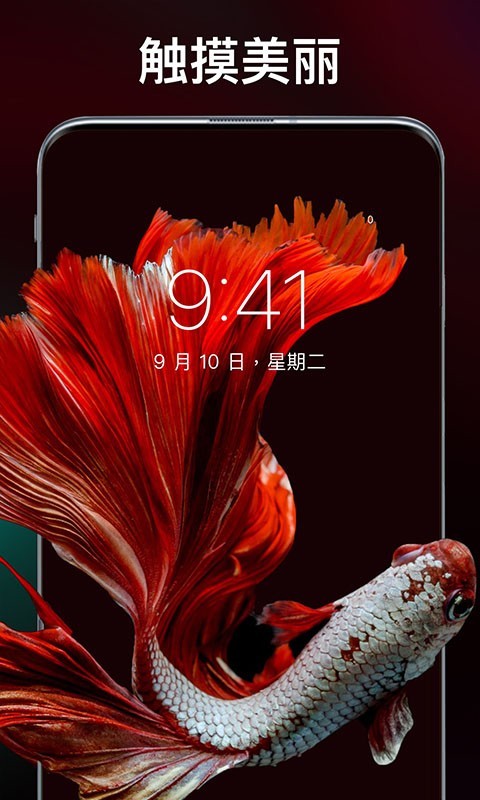 ��è��ֽ��ȫv1.0.0 �ֻ���