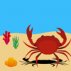 Crab(�з��̲����)v1.0 ��׿��