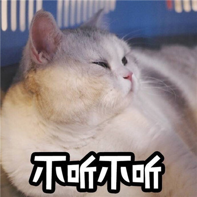 ���������ղص���è�������ˮӡ ����Զ��ű�����޵����ܻ�ͷ
