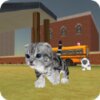 Cats Park(è��԰ģ����)v0.2.01 ��׿��